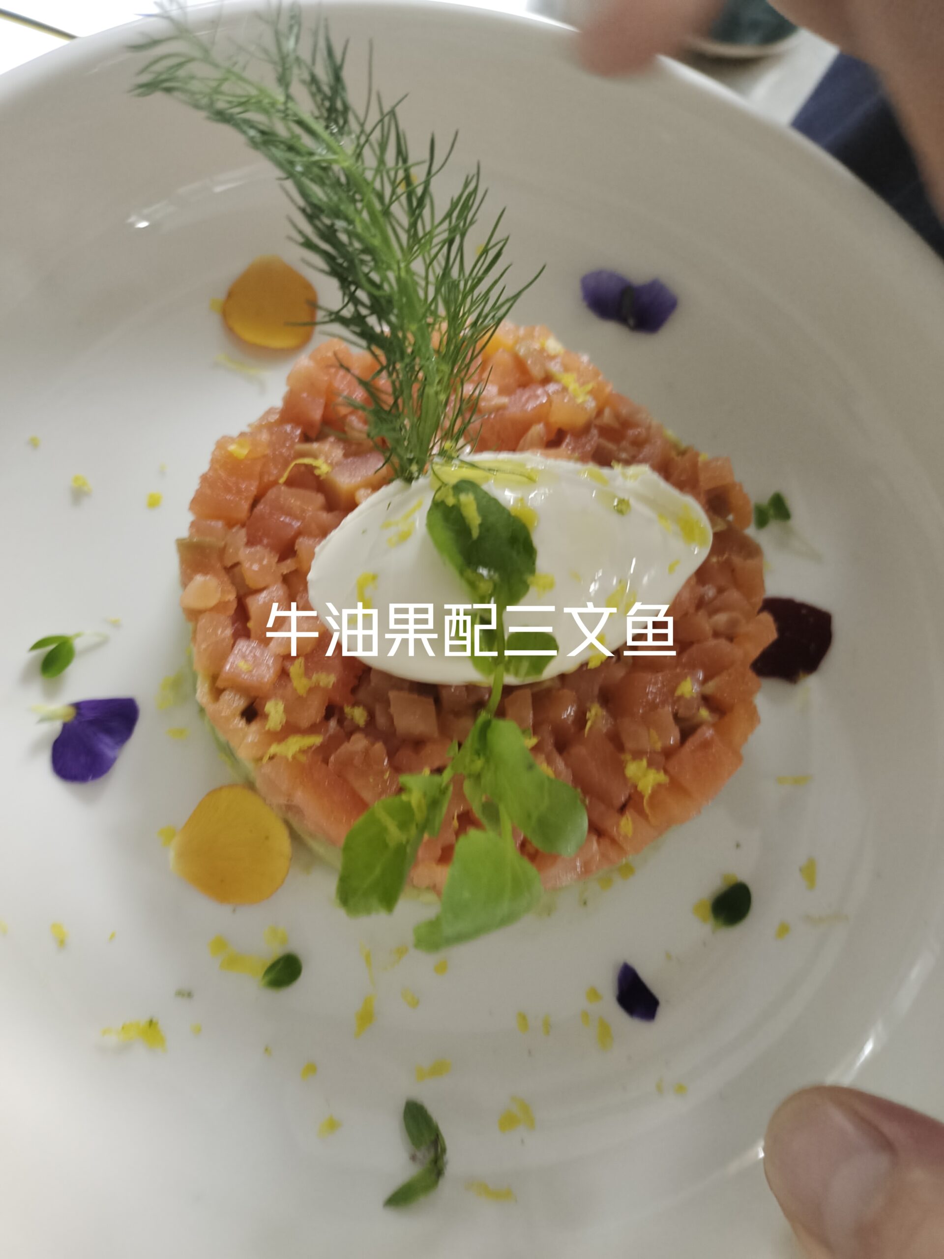 牛油果配三文鱼-小T食无忧