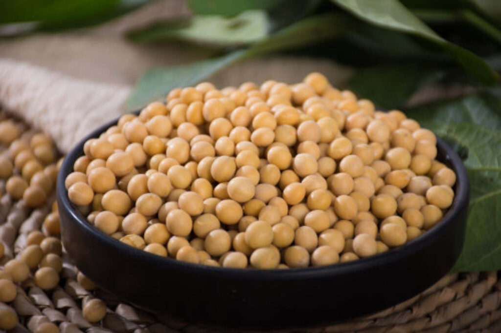 图片[2]-贵州豆豉做法